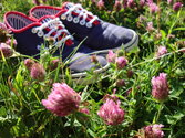 shoes_in_the_flowers_3__by_celionnes-d44rcpz.jpg