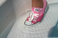 img_8431.jpg