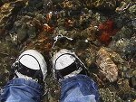 saltyshoes_by_mmickiee.jpg