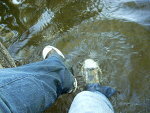 Wet_and_Dirt___Converse_by_SairsDragon.jpg
