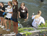 cleaninlake-2.jpg