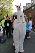 2016_10_31 Halloween Parade-8444-X3.jpg