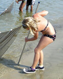 1011-capehenlopen 2010 30201229.jpg