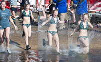 20120204Plunge-9969.jpg