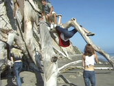 swd009.jpg