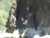 swd015.jpg
