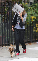 natalie-portman-dog-1158-1.jpg