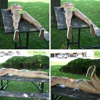 img_9778.jpg