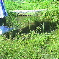  : Gallery : collection : 1997 : 11 : 97010104.jpg