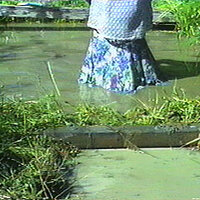  : Gallery : collection : 1997 : 11 : 9701011.jpg