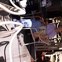  : Gallery : collection : 1998 : 08 : Dsc00276.jpg