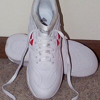  : Gallery : collection : 1998 : 08 : kaepa.jpg