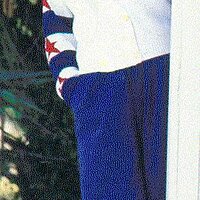  : Gallery : collection : 1999 : 01 : cotton013.jpg