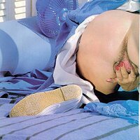  : Gallery : collection : 2000 : 01 : New-067.jpg