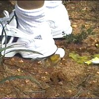  : Gallery : collection : 2000 : 01 : th_whiteasics_out_csh_19.jpg