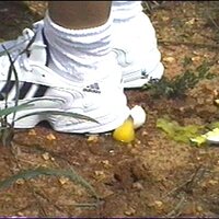  : Gallery : collection : 2000 : 01 : th_whiteasics_out_csh_20.jpg