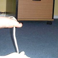  : Gallery : collection : 2000 : 08 : MsFkeds3.jpg