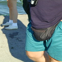  : Gallery : collection : 2000 : 08 : P8130088.jpg