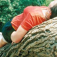  : Gallery : collection : 2000 : 08 : b.jpg