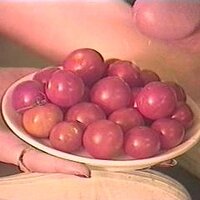  : Gallery : collection : 2002 : 01 : a1.jpg