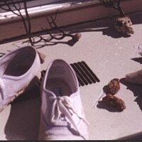  : Gallery : collection : 2002 : 10 : Image-06.JPG