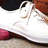  : Gallery : collection : 2002 : 12 : Kedsn1.jpg