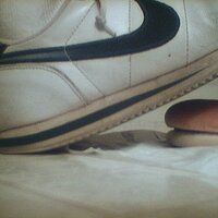  : Gallery : collection : 2002 : 12 : dTOF00001_12.JPG