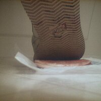  : Gallery : collection : 2002 : 12 : dTOF00007_13.JPG