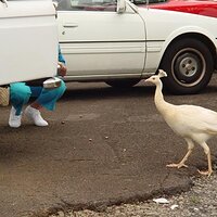  : Gallery : collection : 2003 : 01 : DSC00454.jpg