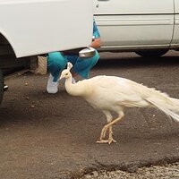  : Gallery : collection : 2003 : 01 : DSC00455.jpg