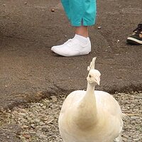  : Gallery : collection : 2003 : 01 : DSC00456.jpg