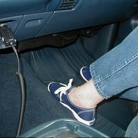  : Gallery : collection : 2003 : 04 : P1010006.JPG