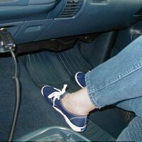  : Gallery : collection : 2003 : 04 : P1010010.JPG