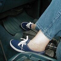  : Gallery : collection : 2003 : 04 : P1010011.JPG