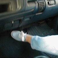  : Gallery : collection : 2003 : 04 : P7190156.jpg