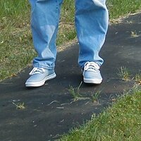  : Gallery : collection : 2003 : 04 : P7190169.jpg