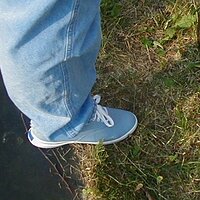  : Gallery : collection : 2003 : 04 : P7190178.jpg