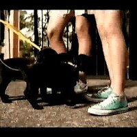  : Gallery : collection : 2003 : 04 : commer-4.jpg