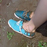  : Gallery : collection : 2003 : 04 : m11.jpg