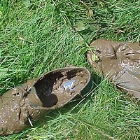  : Gallery : collection : 2003 : 04 : m15.jpg