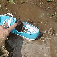  : Gallery : collection : 2003 : 04 : m5.jpg