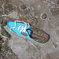  : Gallery : collection : 2003 : 04 : m6.jpg