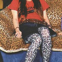  : Gallery : collection : 2003 : 04 : scty001.jpg