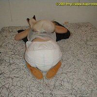  : Gallery : collection : 2003 : 08 : georgia123.jpg