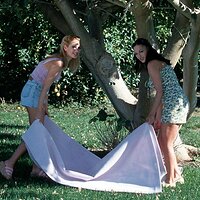  : Gallery : collection : 2003 : 09 : Sandy-br-lawn-tree008.jpg