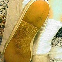  : Gallery : collection : 2004 : 09 : grapeo.jpg