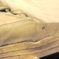  : Gallery : collection : 2004 : 10 : grapej.jpg