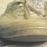  : Gallery : collection : 2004 : 10 : grapem.jpg