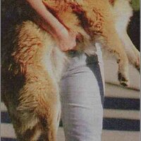  : Gallery : collection : 2005 : 01 : AnnaNicholeSmith.jpg