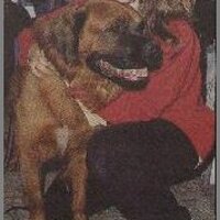  : Gallery : collection : 2005 : 01 : Brookeshields8.jpg